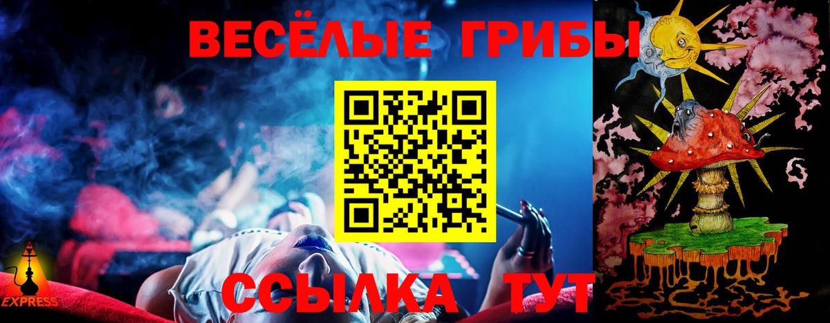 Галлюциногенные грибы Cubensis Химки